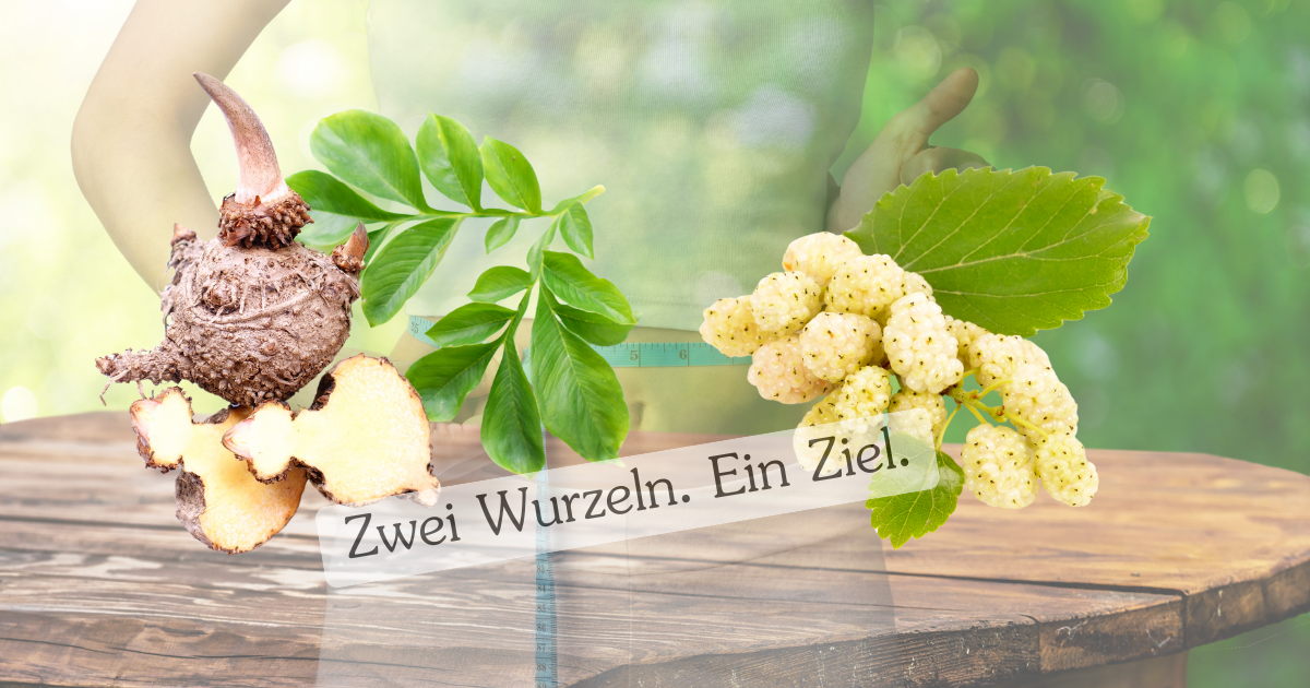 Die Kraft zweier Wurzeln