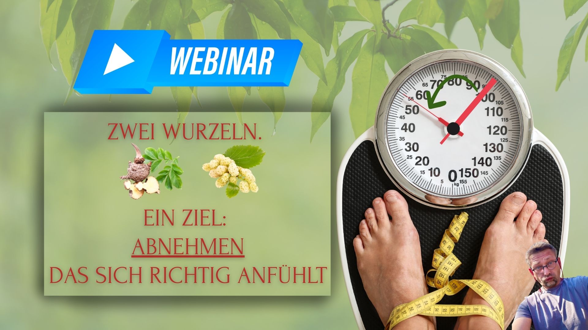 Webinarbild