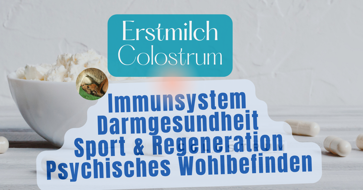 Erstmilch Colostrum
