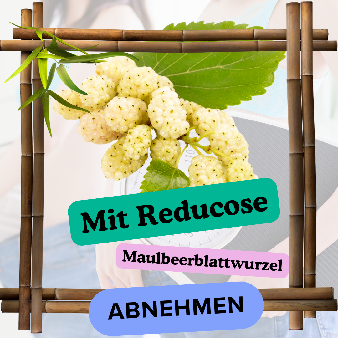 Slimfinity Reducose Maulbeerblatt