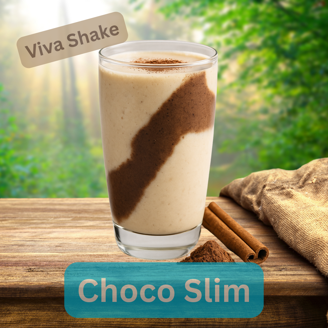Choco Slim Shake – Cevitalis Shake Variante
