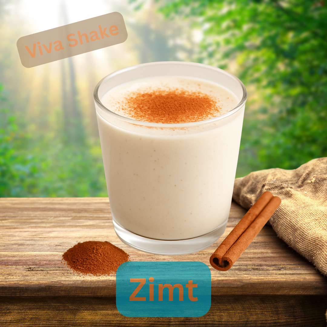 Zimt Shake – Cevitalis Shake Variante